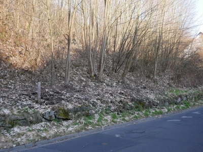 Immobilien Bild