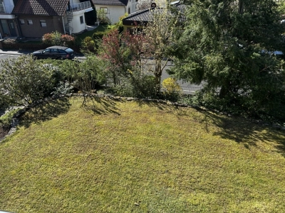 Blick in den Garten