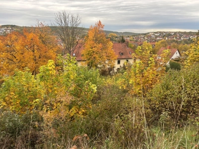 Immobilien Bild